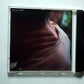 Popsicle – Abstinence (CD, 1994) Europe 4509-95679-2