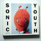 Sonic Youth – Dirty (CD, 2003, 2-Disc) US Deluxe Edition 069 493 410-2