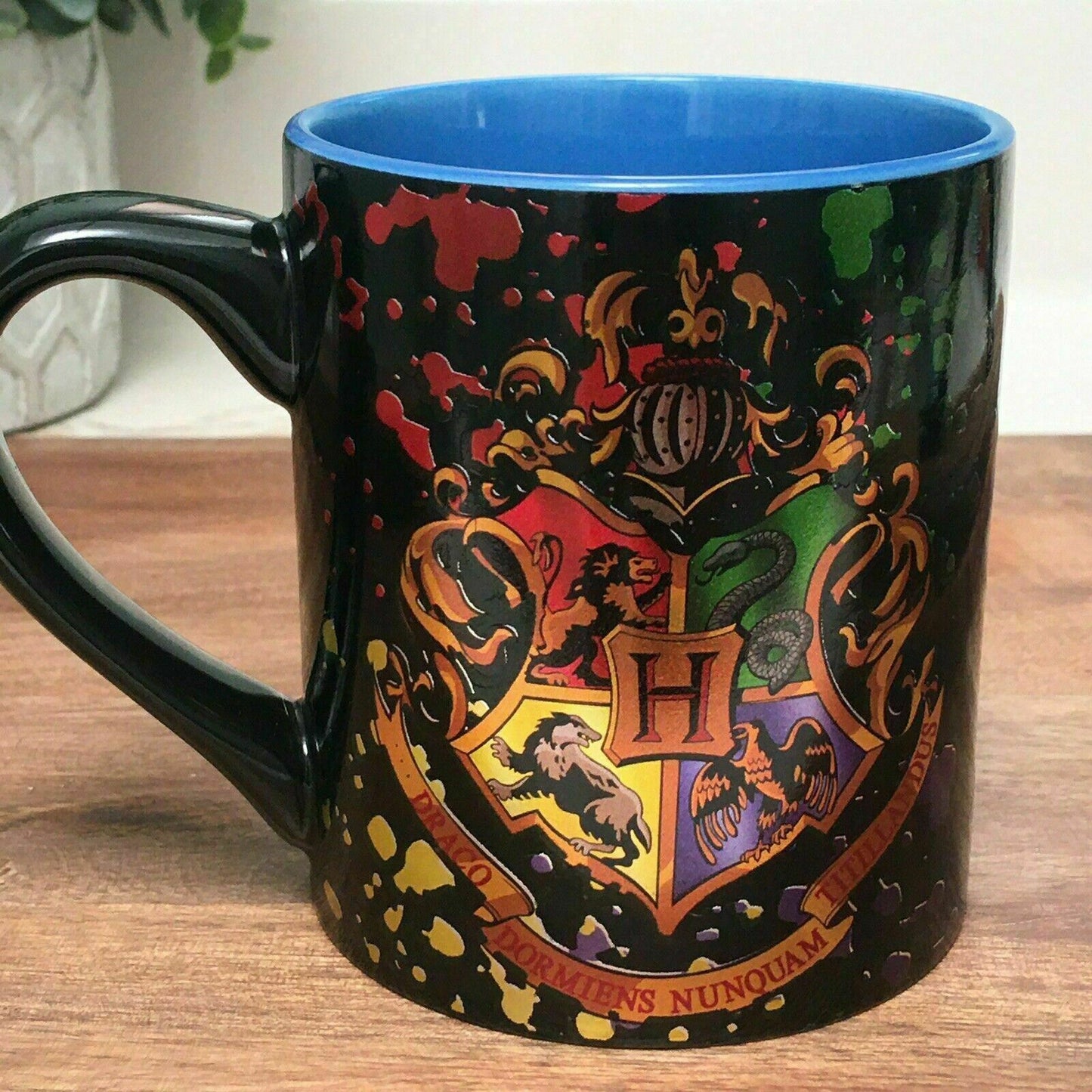 *New* Harry Potter Mug - Darco Dormiens Nunquam Titillandus