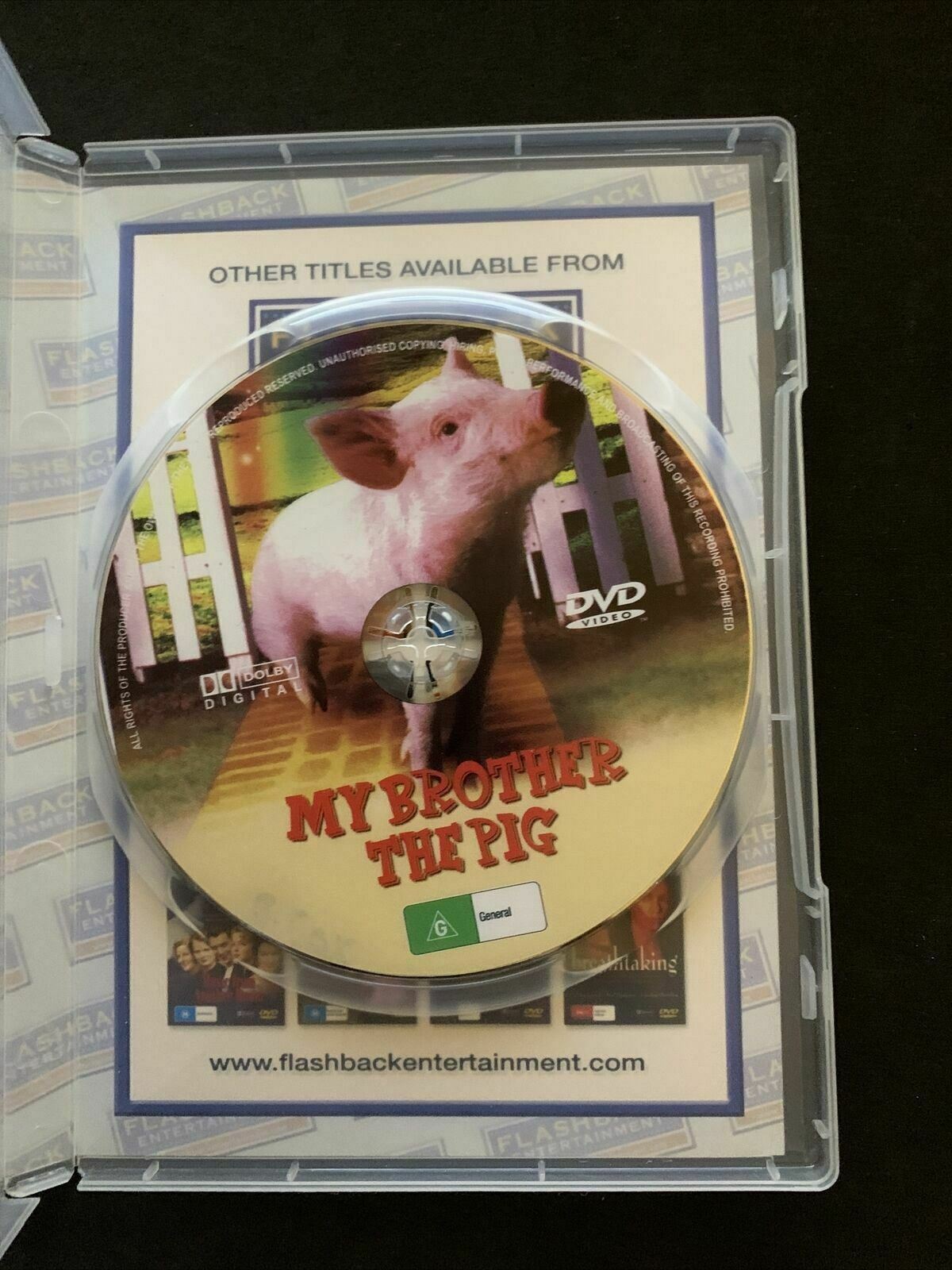 My Brother The Pig (DVD, 1999) Scarlett Johansson, Eva Mendes - All Regions