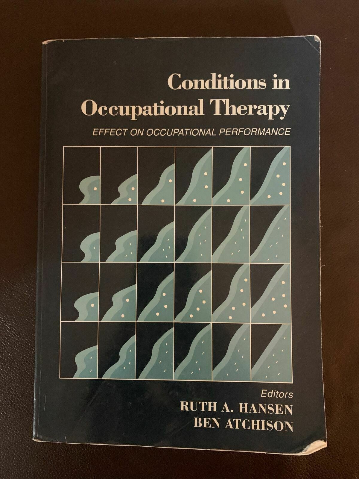 Conditions In Occupational Therapy: Effect On Occupational Performance