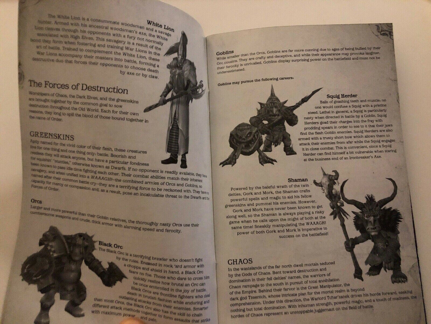 Warhammer Online (PC: Windows, 2004)