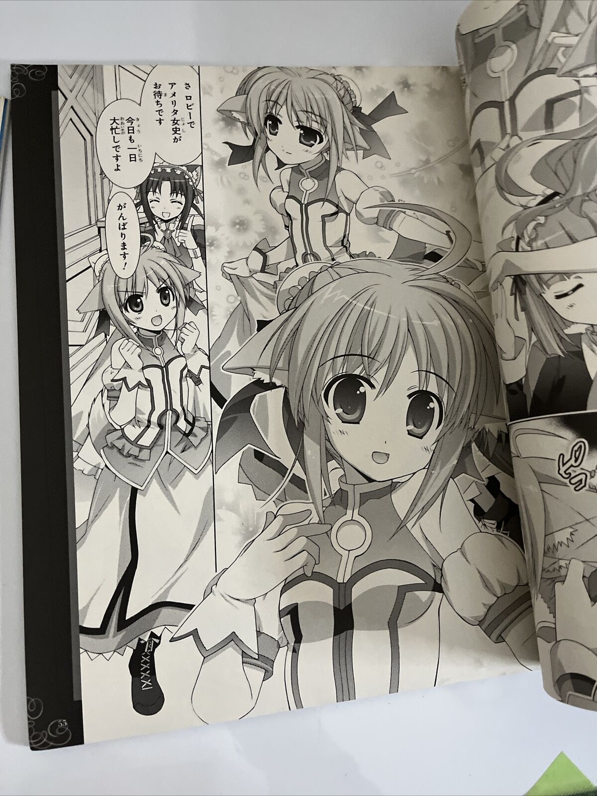 NewType Magazine May 2011 Japanese Anime Dog Days