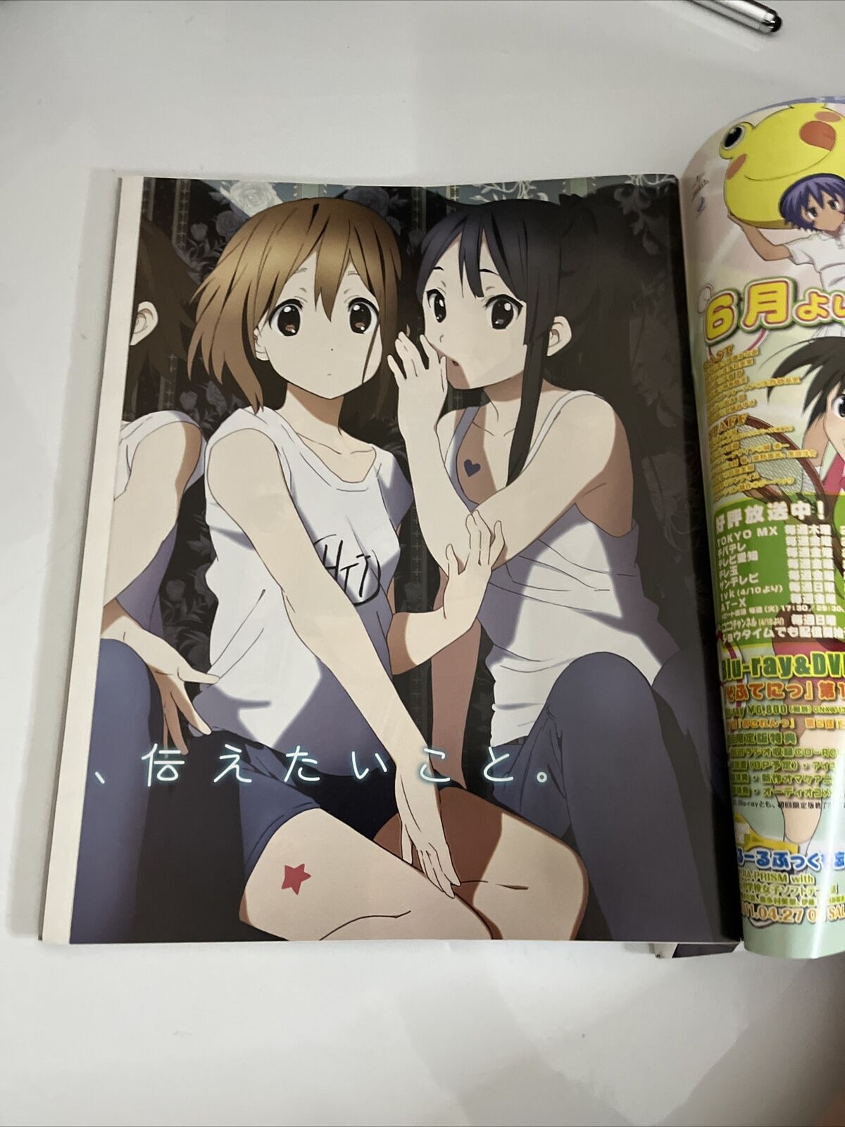 NewType Magazine May 2011 Japanese Anime Dog Days