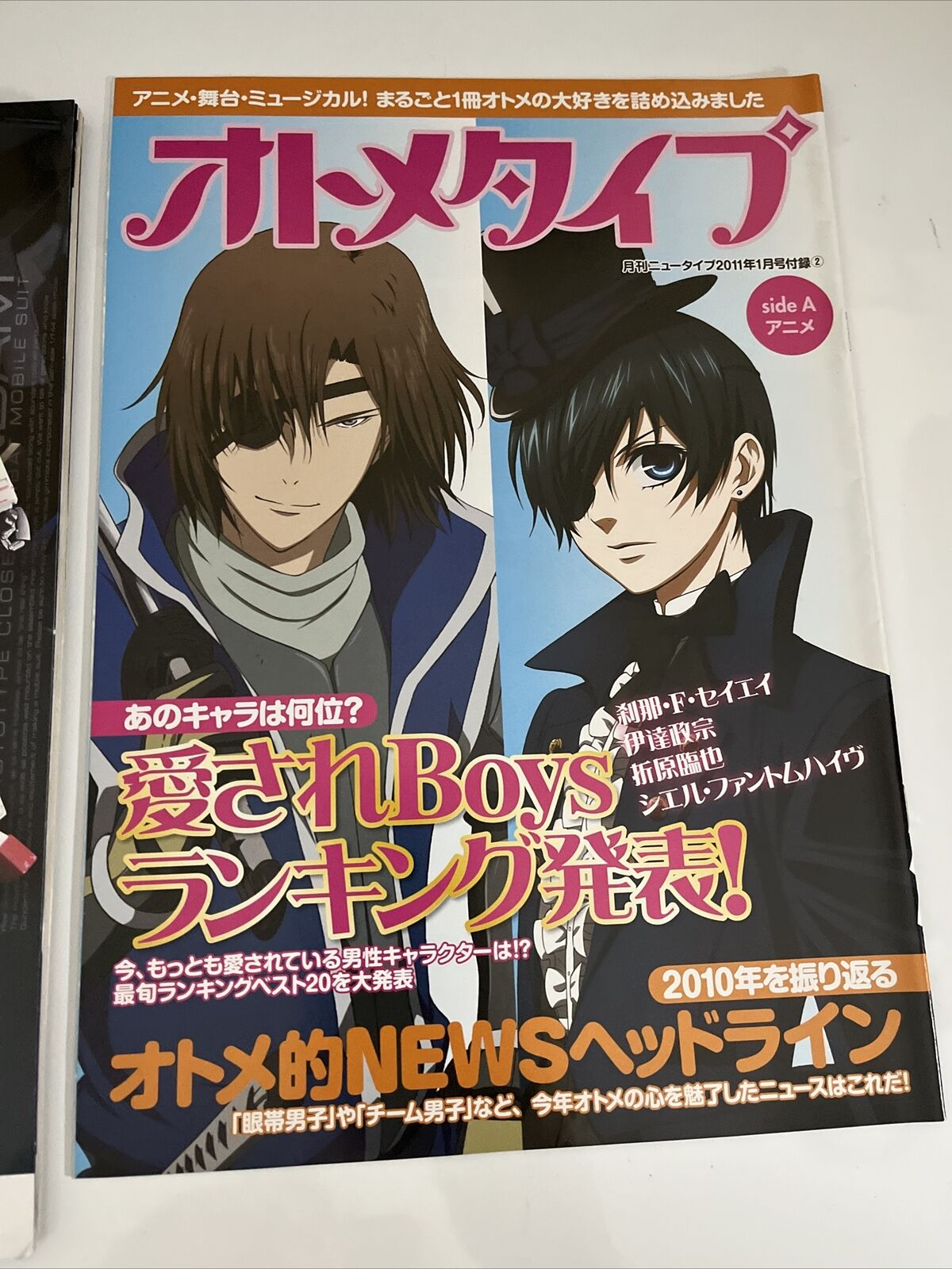 NewType Magazine January 2011 Japanese Anime Manga Calendar Otometype StarDriver