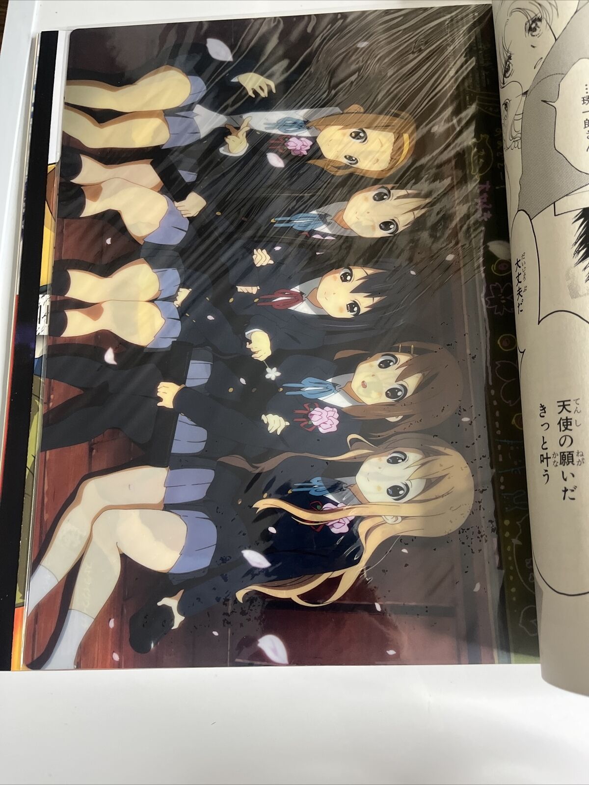 Newtype Magazine December 2010 CLAMP Sora Basara Japanese Anime