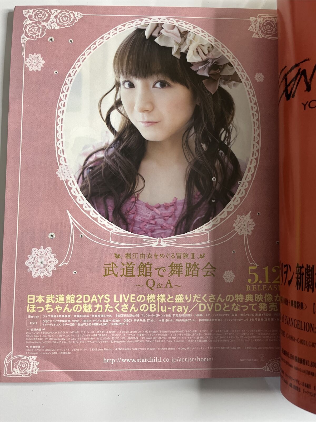 Newtype Magazine June 2010 Evangelion Crush Japanese Anime Manga