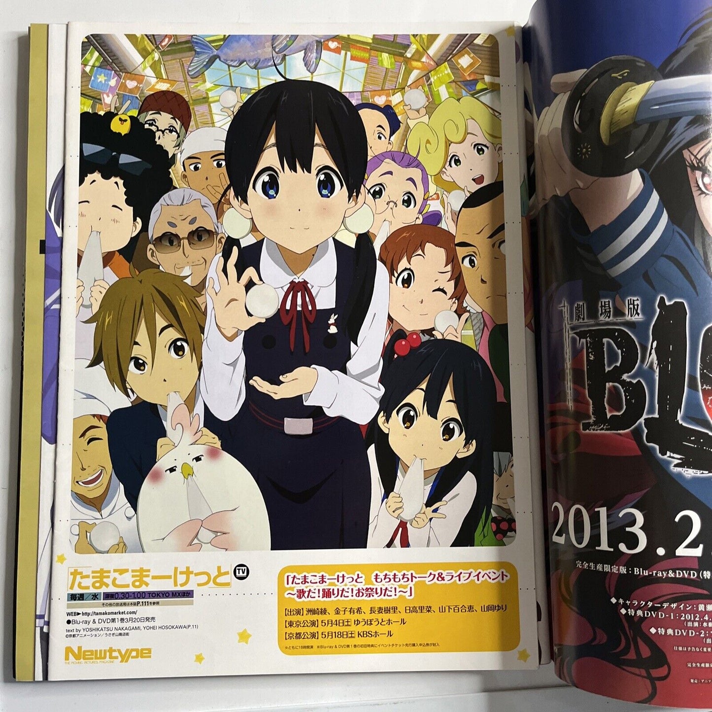 Newtype Magazine April 2013 Japanese The Five Star Stories Gundam Anime Manga