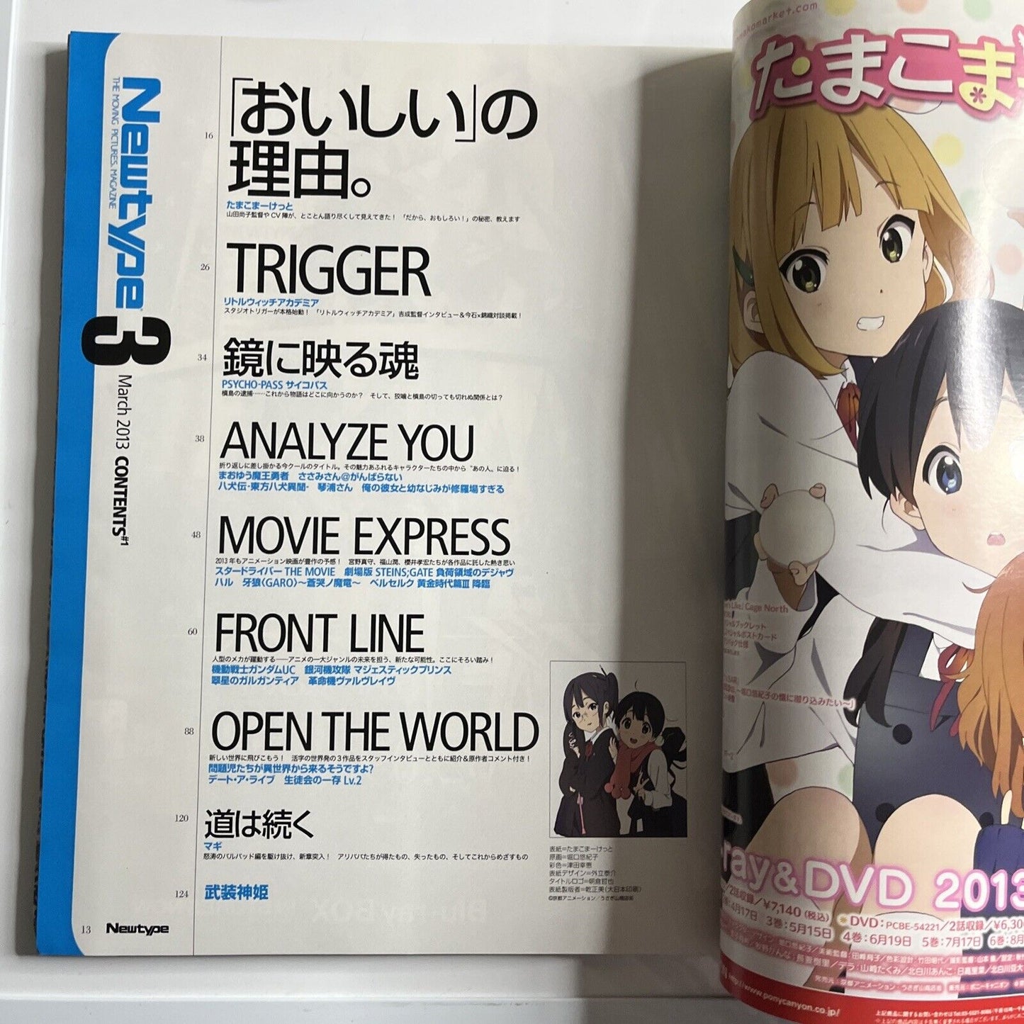 Newtype Magazine March 2013 Japanese Tamako Market Anime Manga