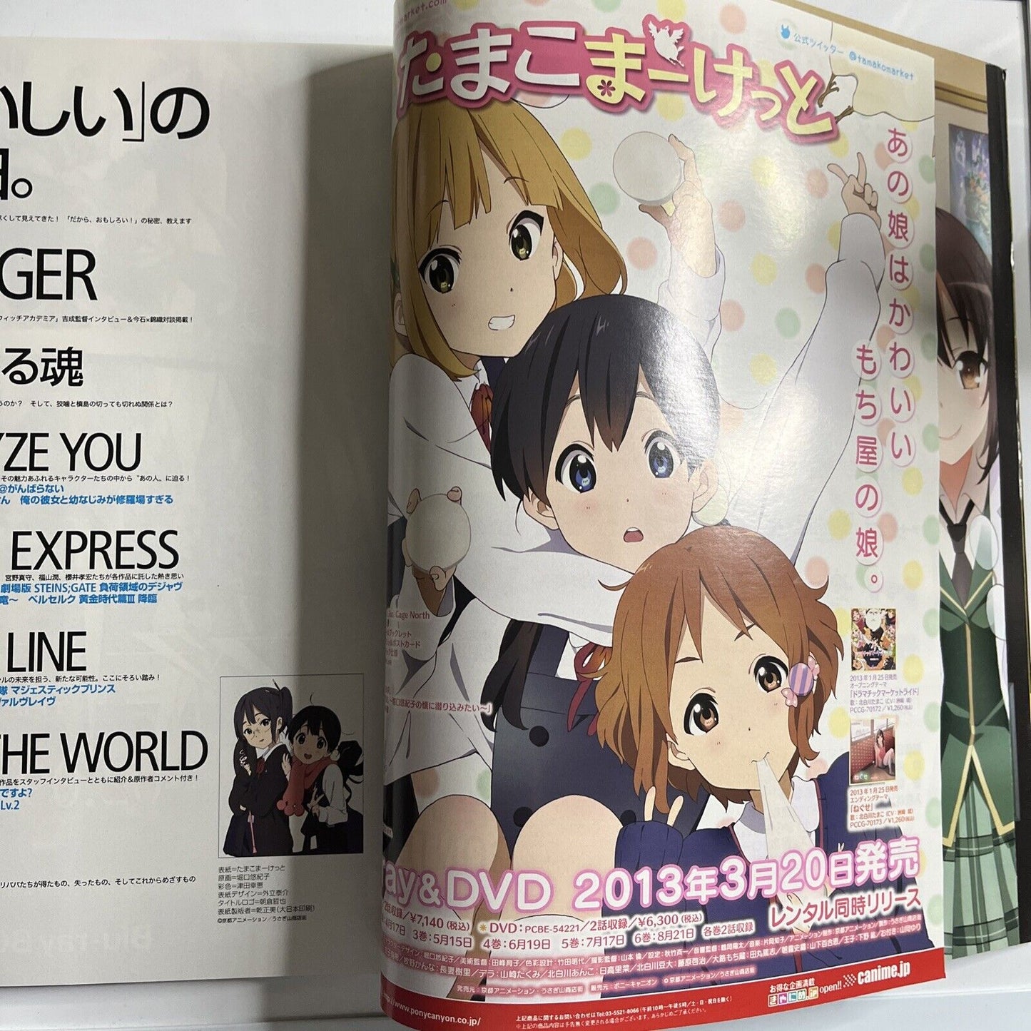 Newtype Magazine March 2013 Japanese Tamako Market Anime Manga