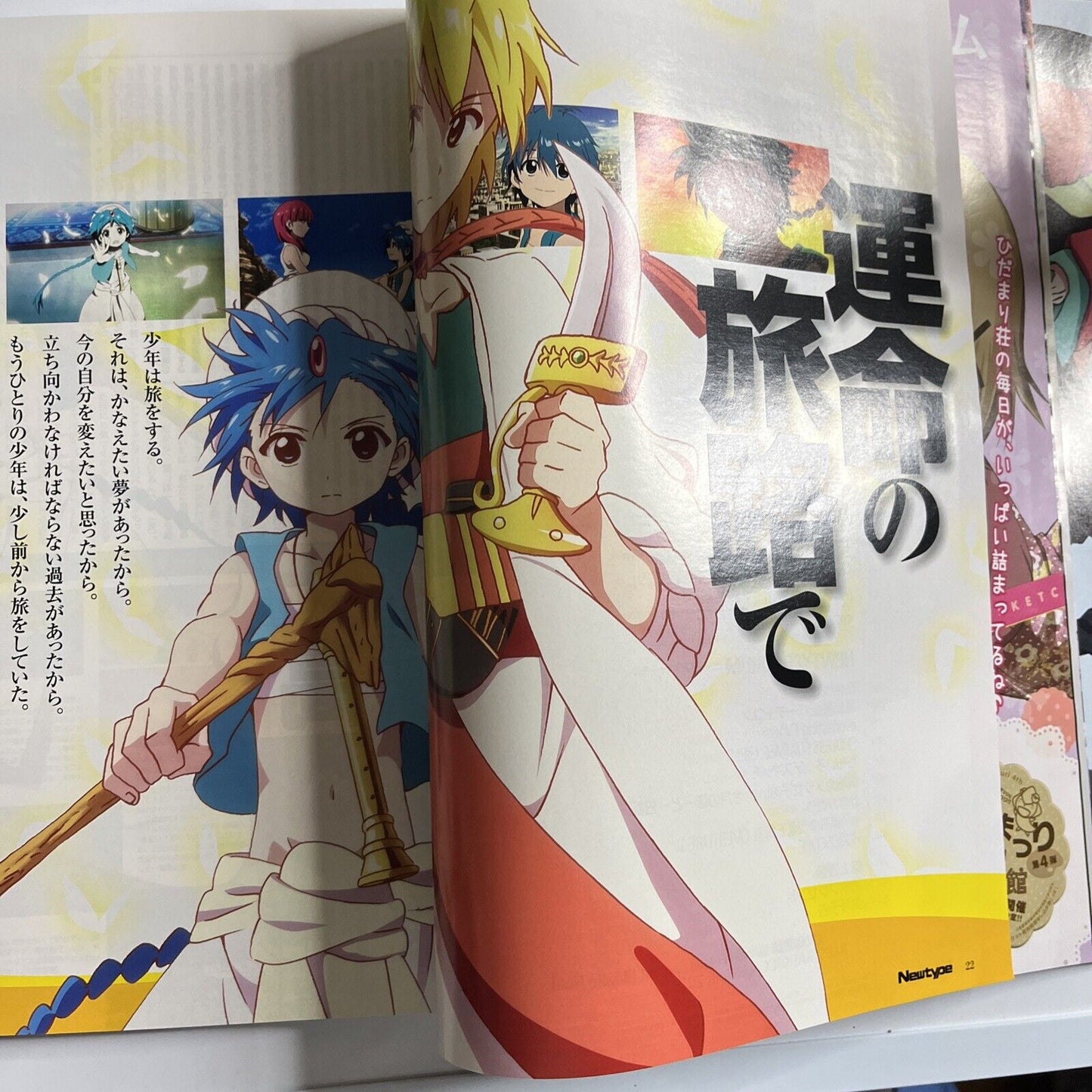 Newtype Magazine January 2013 Japanese Aladdin Magi Illustration Calendar 2013