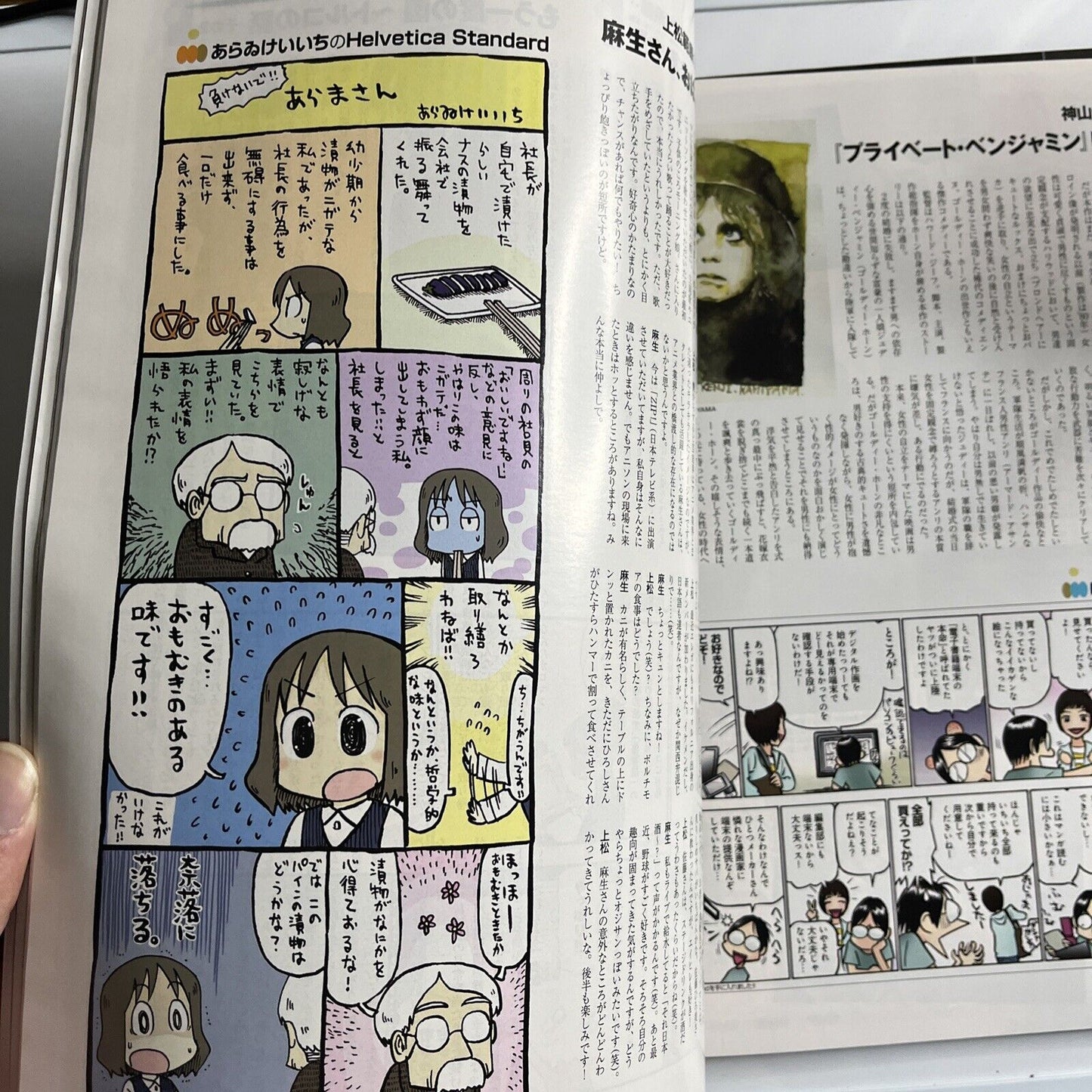 Newtype Magazine January 2013 Japanese Aladdin Magi Illustration Calendar 2013