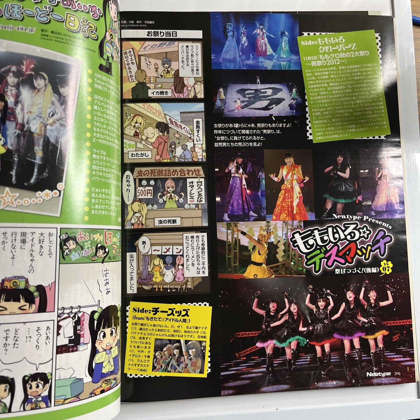 Newtype Magazine January 2013 Japanese Aladdin Magi Illustration Calendar 2013