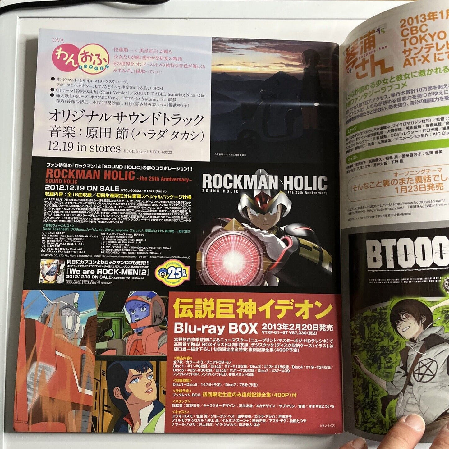 Newtype Magazine January 2013 Japanese Aladdin Magi Illustration Calendar 2013