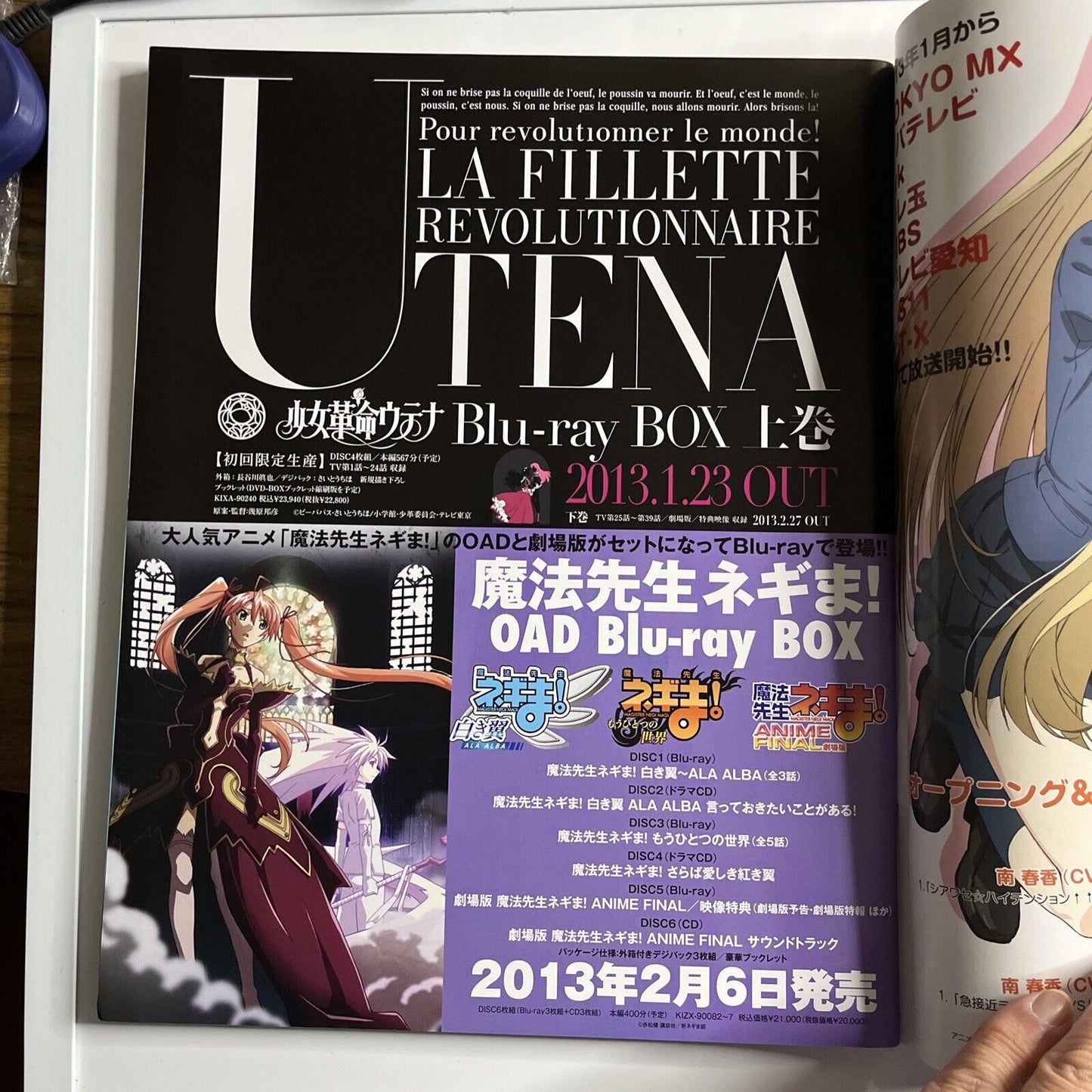 Newtype Magazine January 2013 Japanese Aladdin Magi Illustration Calendar 2013