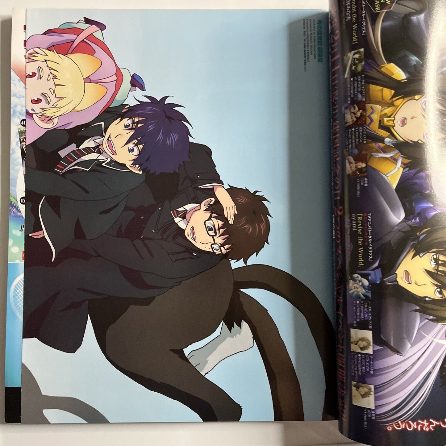 Newtype Magazine January 2013 Japanese Aladdin Magi Illustration Calendar 2013