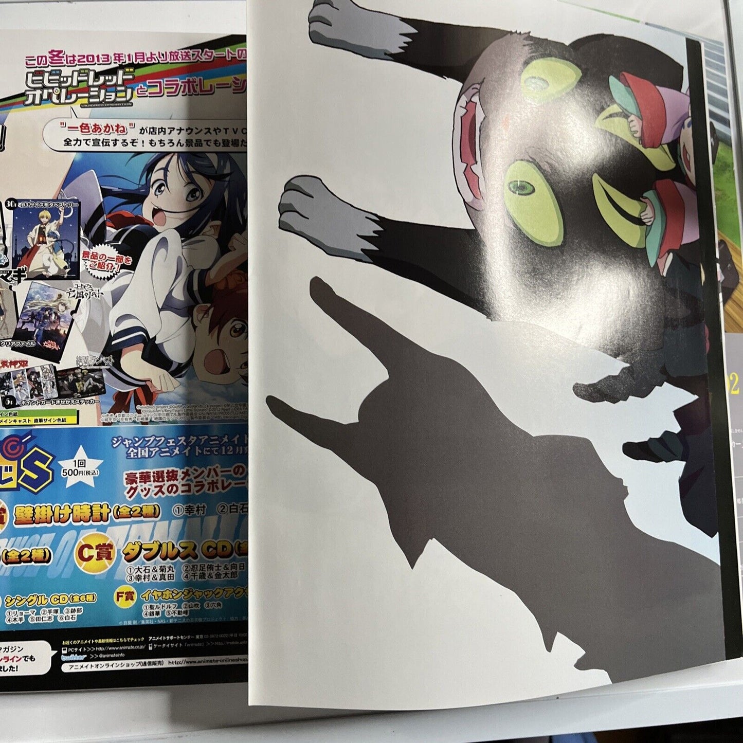 Newtype Magazine January 2013 Japanese Aladdin Magi Illustration Calendar 2013