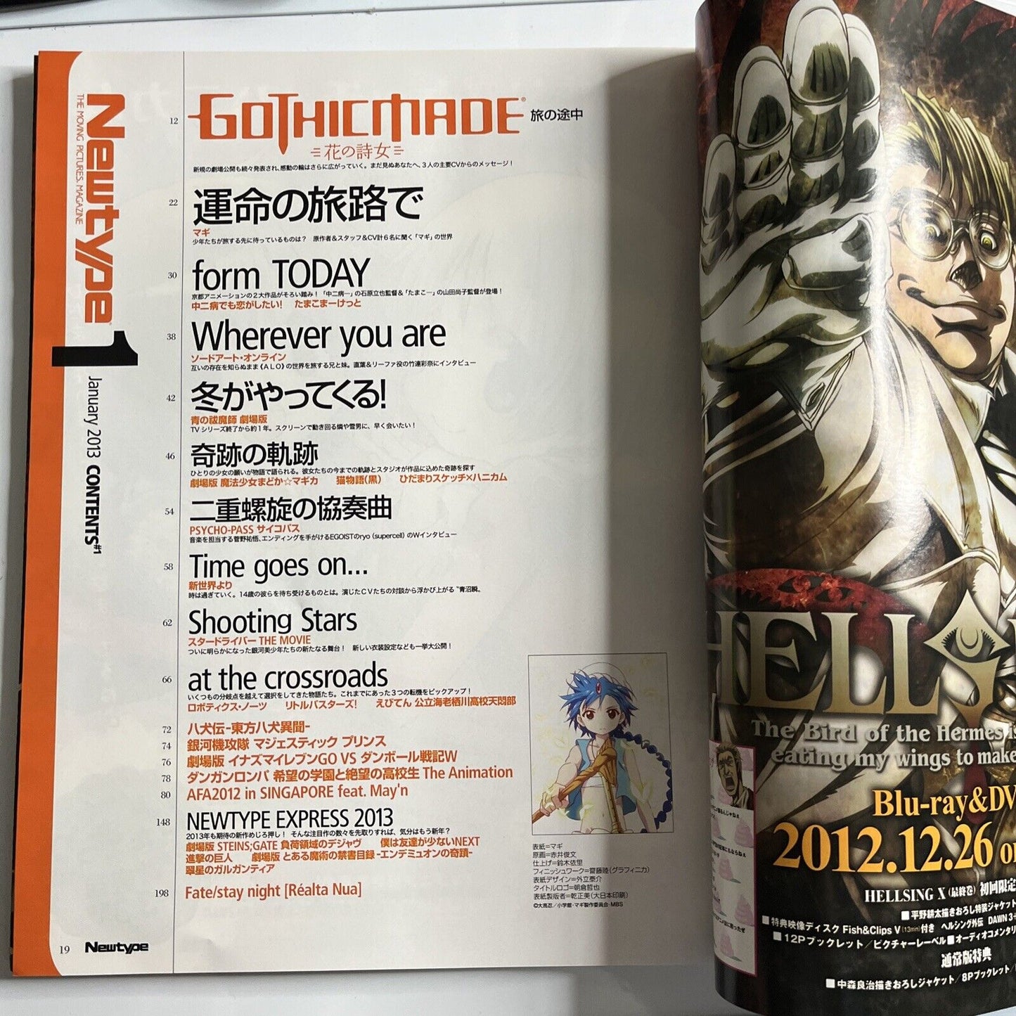 Newtype Magazine January 2013 Japanese Aladdin Magi Illustration Calendar 2013