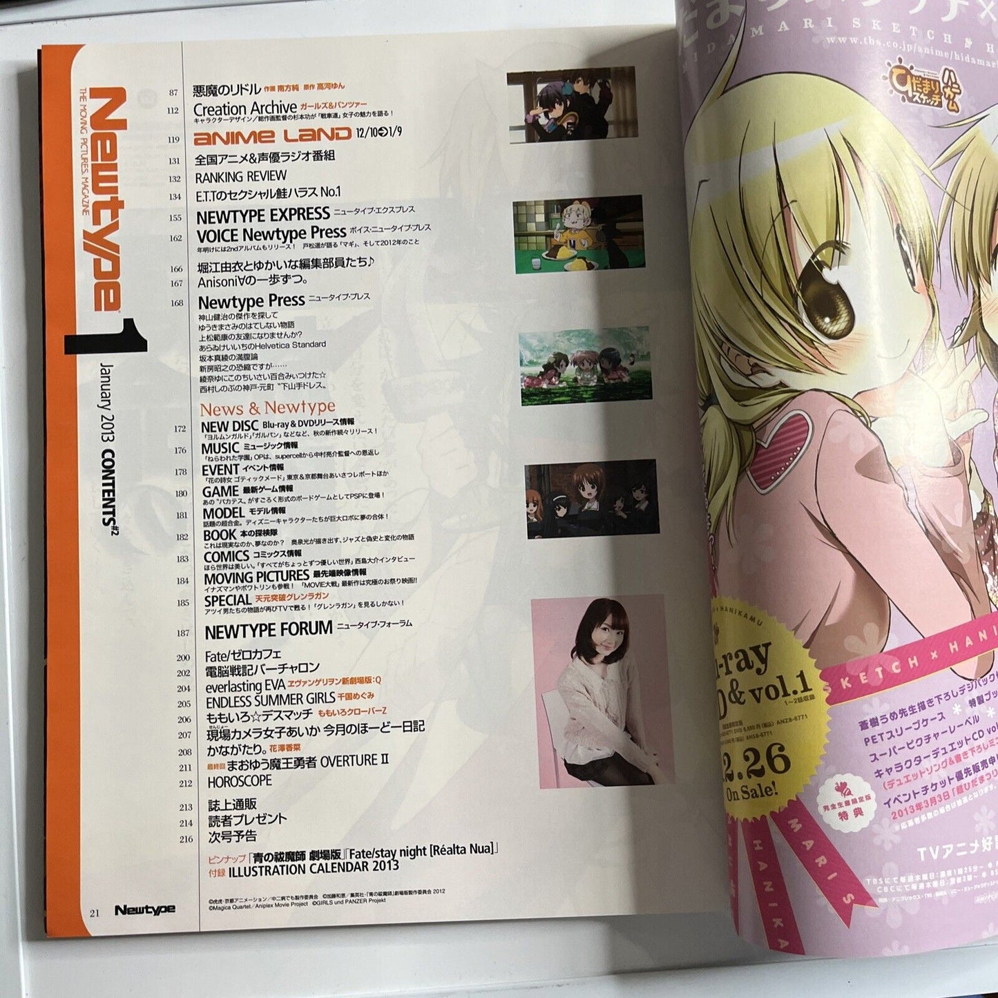 Newtype Magazine January 2013 Japanese Aladdin Magi Illustration Calendar 2013