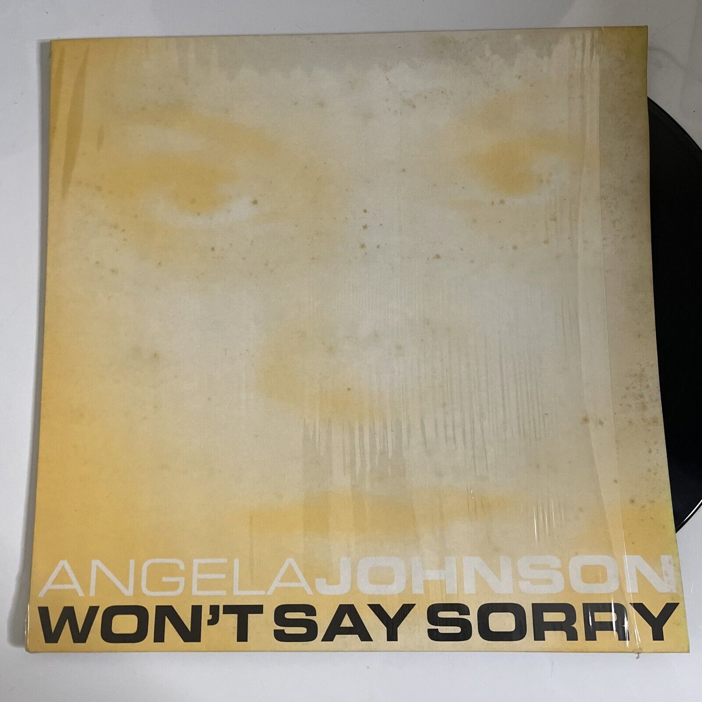 Angela Johnson – Won't Say Sorry Vinyl 12" Record 2002 PURP001