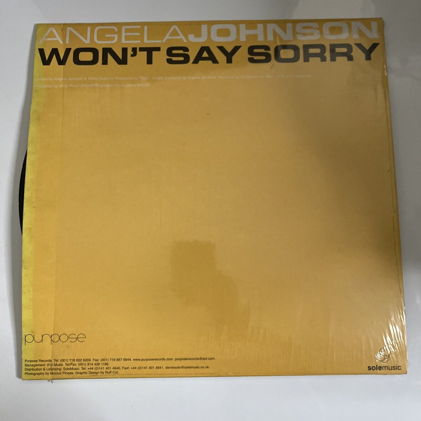 Angela Johnson – Won't Say Sorry Vinyl 12" Record 2002 PURP001