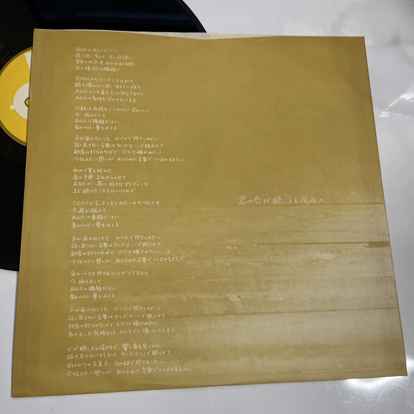 Bird – Kimino Otoga Kikoeru Bashoe 君の音が聴こえる場所へ  12" Vinyl Record 1999