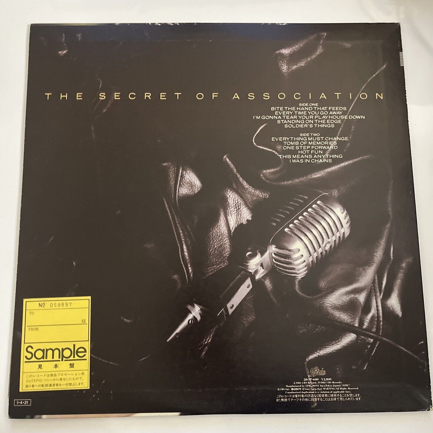 Paul Young – The Secret Of Association LP 1985 Vinyl Promo Epic Record 28-3P-600