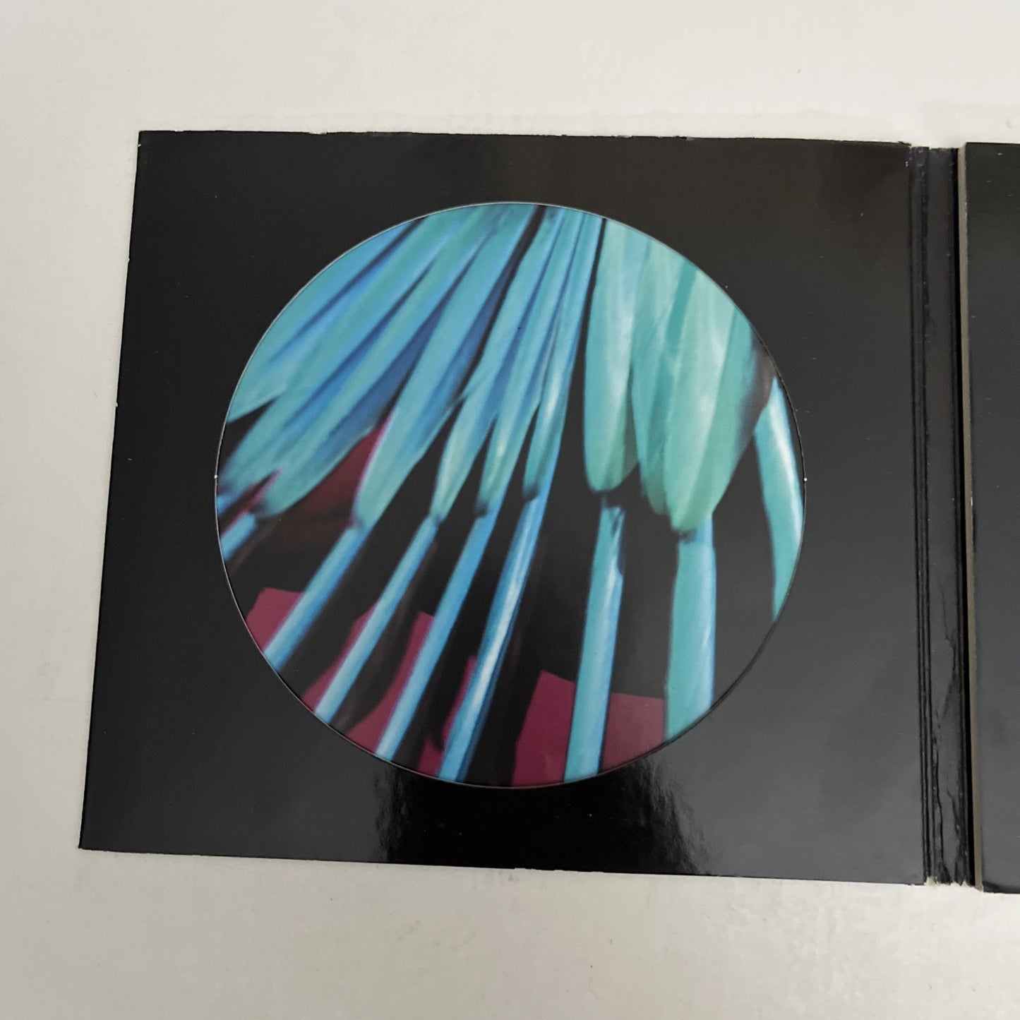 Friendly Fires – Pala (CD, 2011) Digipak Album XLCD530