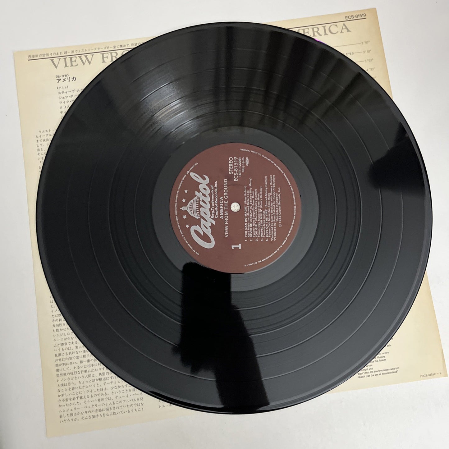 America – View From The Ground (Vinyl, 1982) Japan LP Album Record ECS-81519