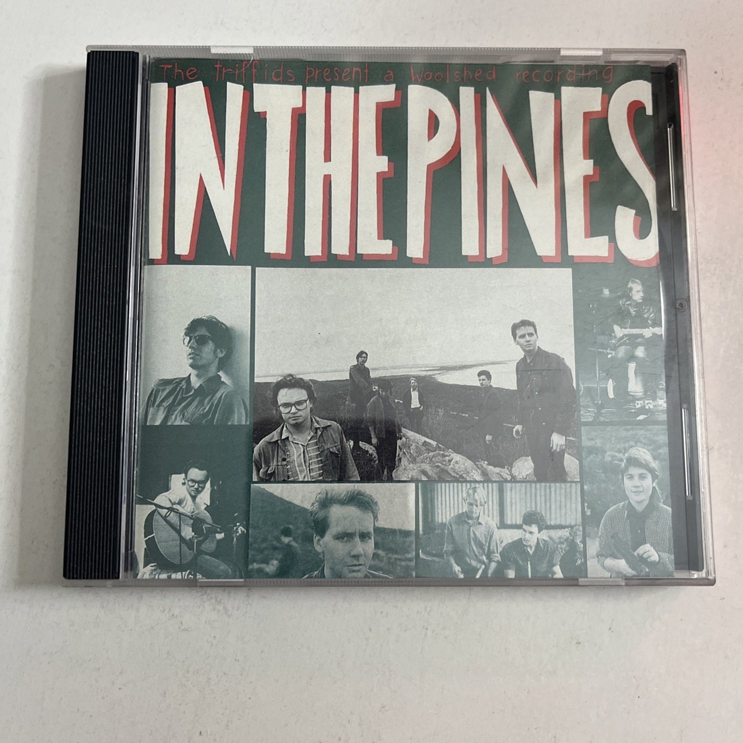 The Triffids – In The Pines (CD, 1991) Australia D19480