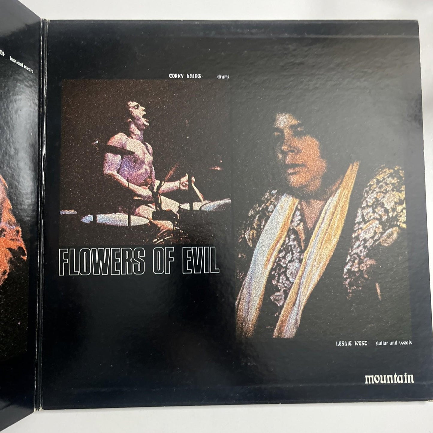 Mountain – Flowers Of Evil (Vinyl, 1972) Japan Gatefold BLPL-1WF