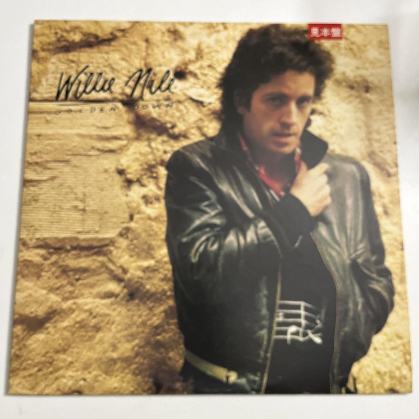 Willie Nile – Golden Down (Vinyl, 1981) Japan LP Promo 25RS-129