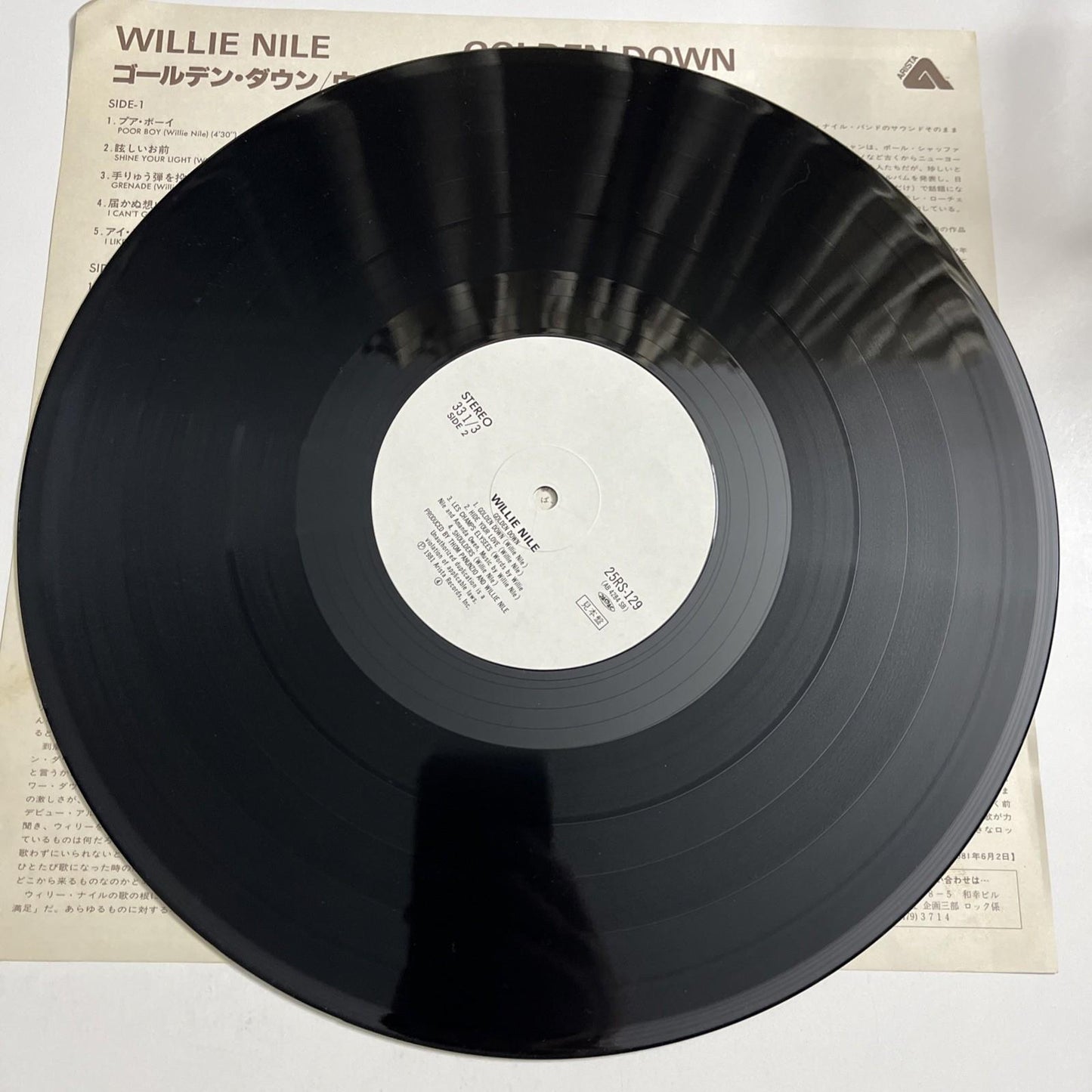 Willie Nile – Golden Down (Vinyl, 1981) Japan LP Promo 25RS-129