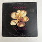 Madonna – You'll See (CD, 1995) Australia 9362436232