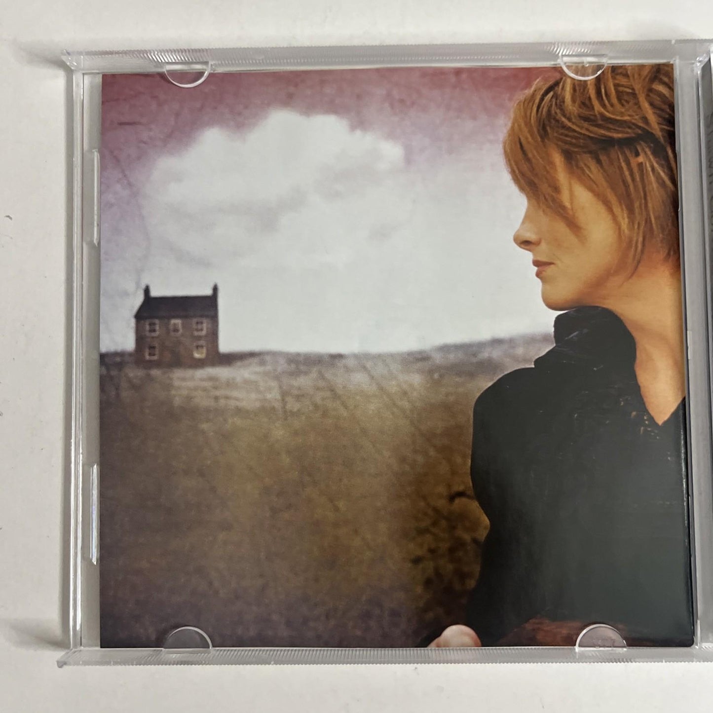 Shawn Colvin – These Four Walls (CD, 2006) Australia 7559799372