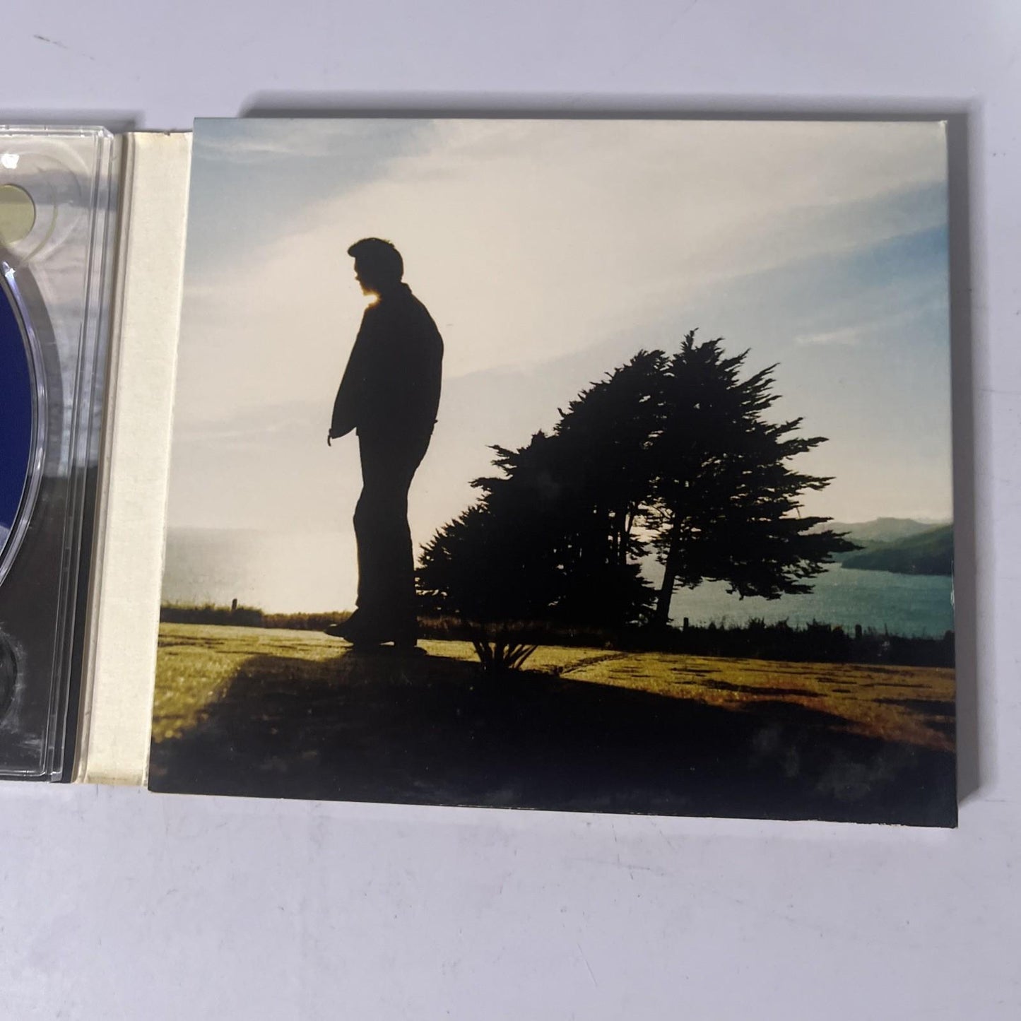 Chris Isaak – Best Of Chris Isaak (CD + DVD, 2006) HDCD Digipak 9362499812
