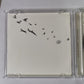 Kobukuro – Nameless World (CD + DVD, 2005, 2-Disc) Japan Limited Edition, Obi