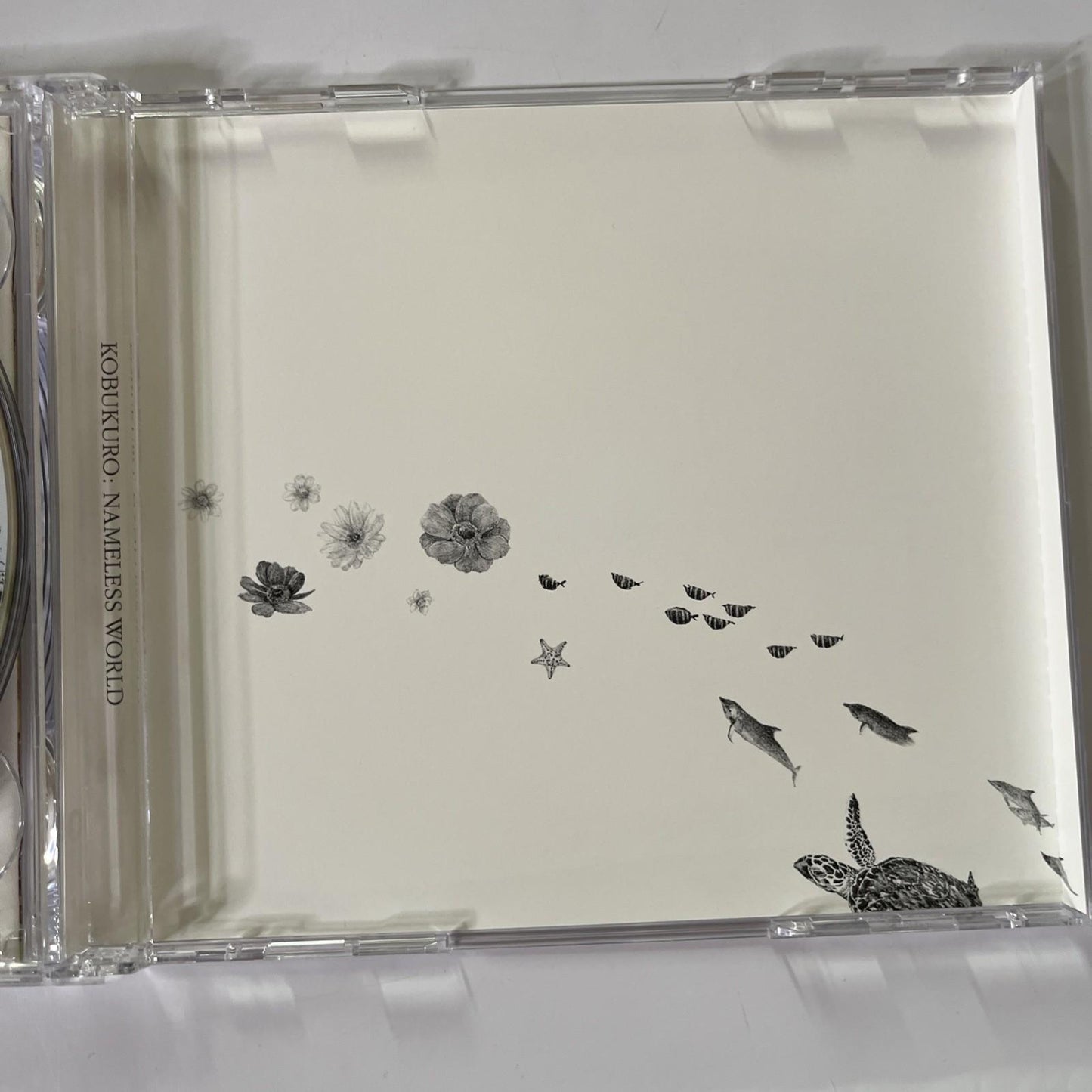 Kobukuro – Nameless World (CD + DVD, 2005, 2-Disc) Japan Limited Edition, Obi
