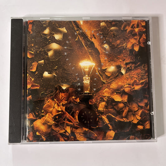 Dave Stewart & Barbara Gaskin – The Big Idea (CD, 1990) US RCD 20172