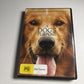 A Dogs Purpose (DVD, 2017) Dennis Quaid, Britt Robertson, Pooch Hall, Region 4