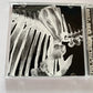 Mr.Children – Mr.Children 1996-2000 (CD, 2001) Japan TFCC-88181