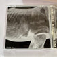 Mr.Children – Mr.Children 1992-1995 (CD, HDCD, 2001) Japan TFCC-88180