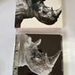 Mr.Children – Mr.Children 1992-1995 (CD, HDCD, 2001) Japan TFCC-88180
