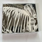 Mr.Children – Mr.Children 1996-2000 (CD, 2001) Japan TFCC-88181