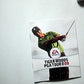 Tiger Woods PGA Tour 09 (PS3, 2008)