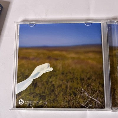 Chiaki Ishikawa – 誰も教えてくれなかったこと (CD, 2009) Japan VTCL-60140