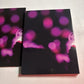 Girls' Generation: Girls & Peace Japan 2nd Tour (DVD, 2013, 2-Disc) All Regions