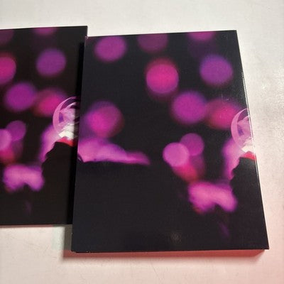 Girls' Generation: Girls & Peace Japan 2nd Tour (DVD, 2013, 2-Disc) All Regions