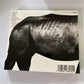 Mr.Children – Mr.Children 1992-1995 (CD, HDCD, 2001) Japan TFCC-88180