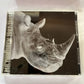 Mr.Children – Mr.Children 1992-1995 (CD, HDCD, 2001) Japan TFCC-88180